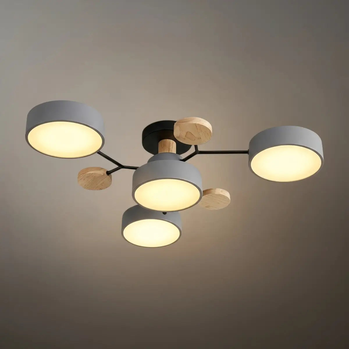 Modern_Round_Ceiling_Light